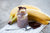 Mousse banane choco